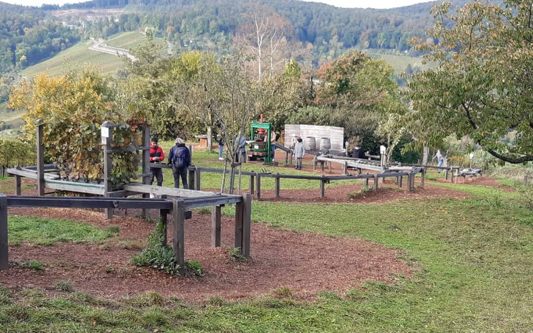 Ausflug der Klasse 5/ 6 zur Kugelbahn