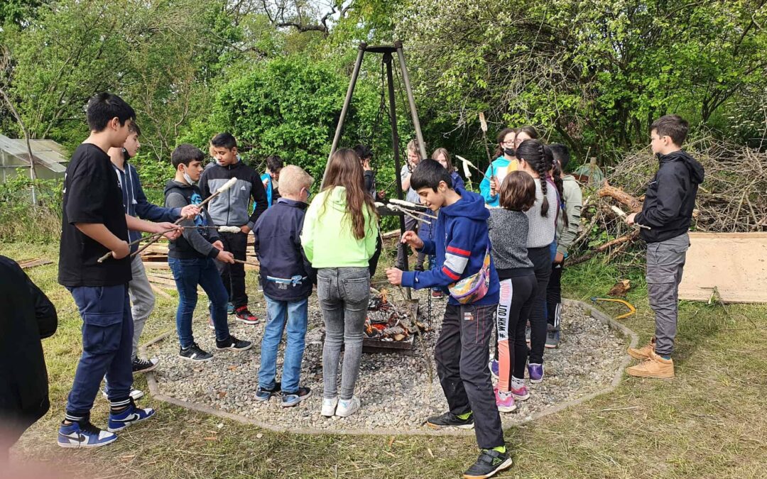 Wald-und Wiesenwoche der Klasse 4/5