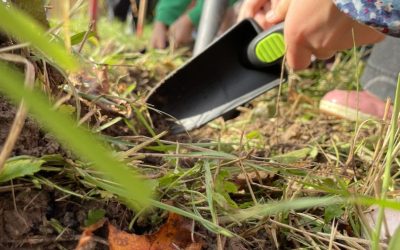 Aktion „einpflanzen“ im Schulgarten