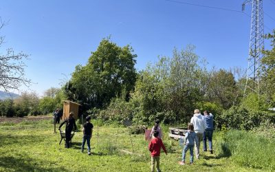 Besuch auf dem Stückle und einen Vormittag im Wald